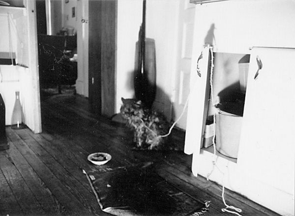 03-matted_persian