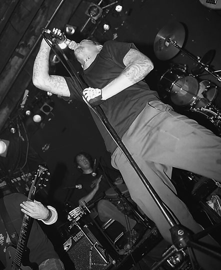 BlueDog-bw04