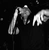 BlueDog-bw01