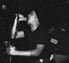BlueDog-bw03