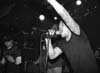 BlueDog-bw05