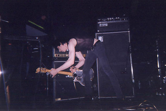 coyote-5