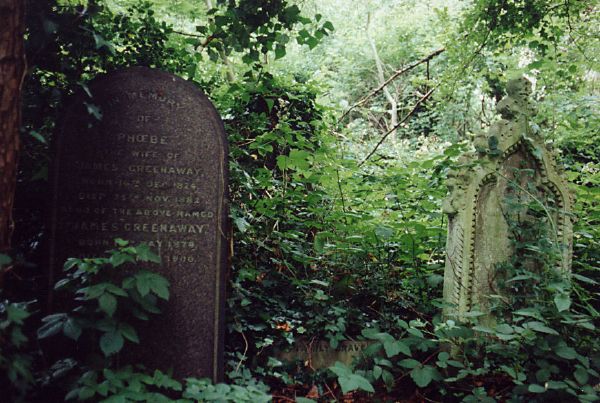 04-ForestStones-1