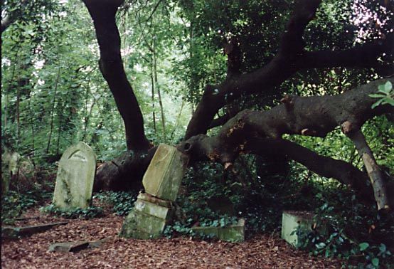 13-TiltingTombs