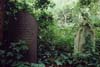 04-ForestStones-1