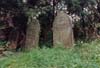 05-ForestStones-2