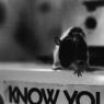 09-Rat_Poster