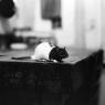 11-One_KitchenTable