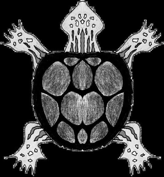 BWTurtle