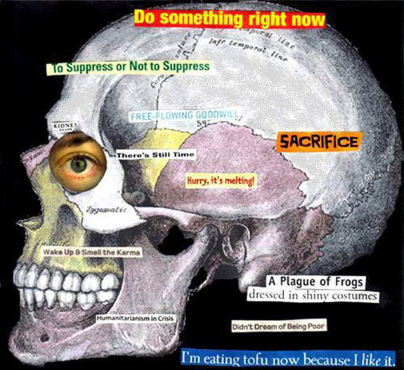 skull collage