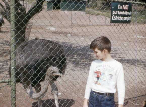 Bobby & Ostrich, Catskill Game Farm, Aug 1958