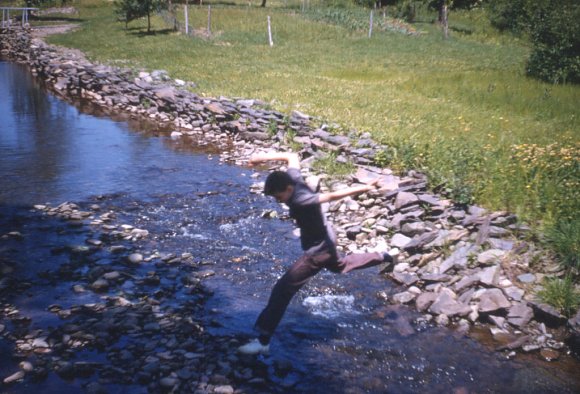 Creek in Windham, June 1960