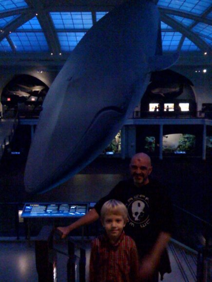 whale