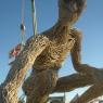 Burning Man 2008