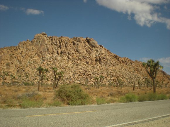 DSCN0005