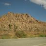 Joshua Tree