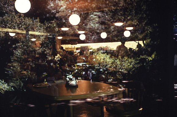 JP-RL-MuirWoodsRest
