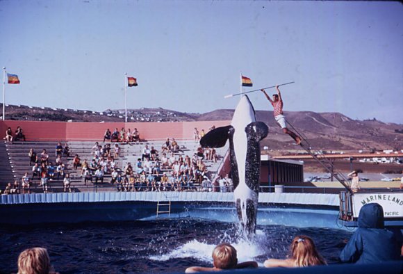 Marineland