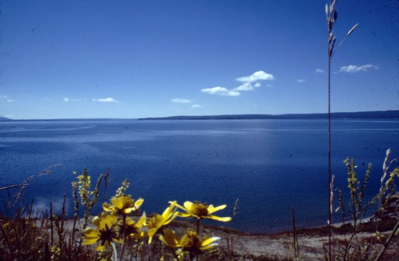 Yellowstone Lake